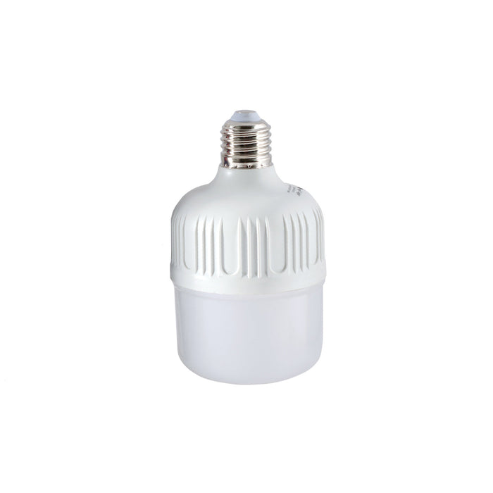 BOMBILLA LED ANGEL LIGHT CILINDRICA 20W (F. 100 PZA)