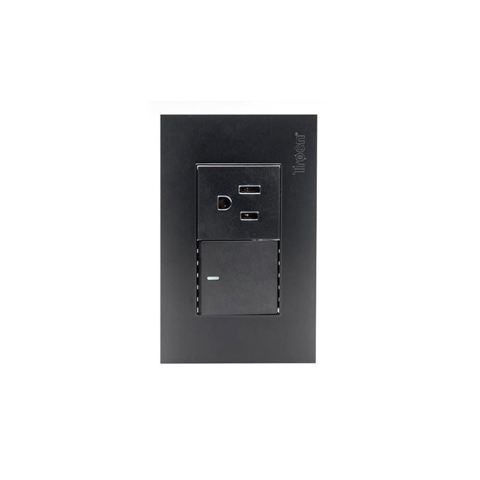 INTERRUPTOR C-TOMACORRIENTE TROEN NEGRO (F. 120 PZA)