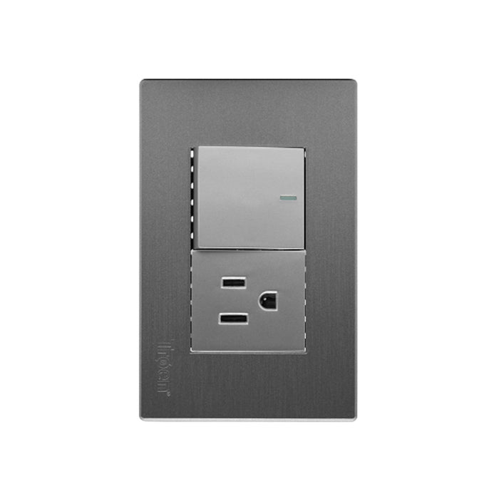 INTERRUPTOR MIXTO TROEN GRIS (F. 120 PZA)