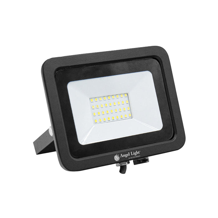 REFLECTOR LED 30W ANGEL LIGHT SECURITY (F. 20 PZA)