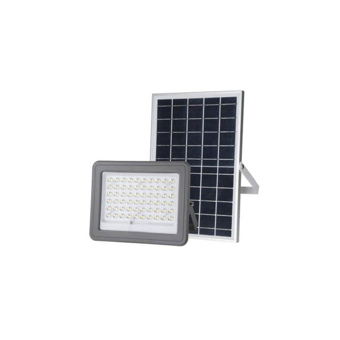 REFLECTOR LED ANGEL LIGHT CON PANEL SOLAR 100W (F. 5 PZA)